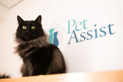 Pet_Assist___Baixa-165