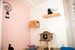 Pet_Assist___Baixa-166