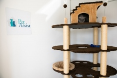 Pet_Assist___Baixa-210