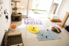 Pet_Assist___Baixa-217