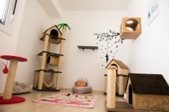 Pet_Assist___Baixa-233