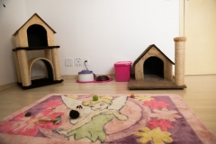 Pet_Assist___Baixa-239