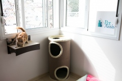 Pet_Assist___Baixa-256