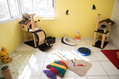 Pet_Assist___Baixa-289