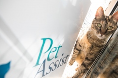 Pet_Assist___Baixa-311