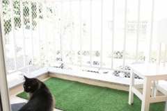 Pet_Assist___Baixa-354