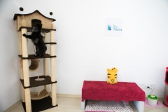 Pet_Assist___Baixa-373