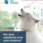cachorro uivando